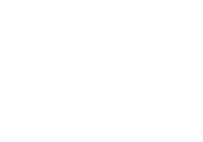Polaris Excellence Plus